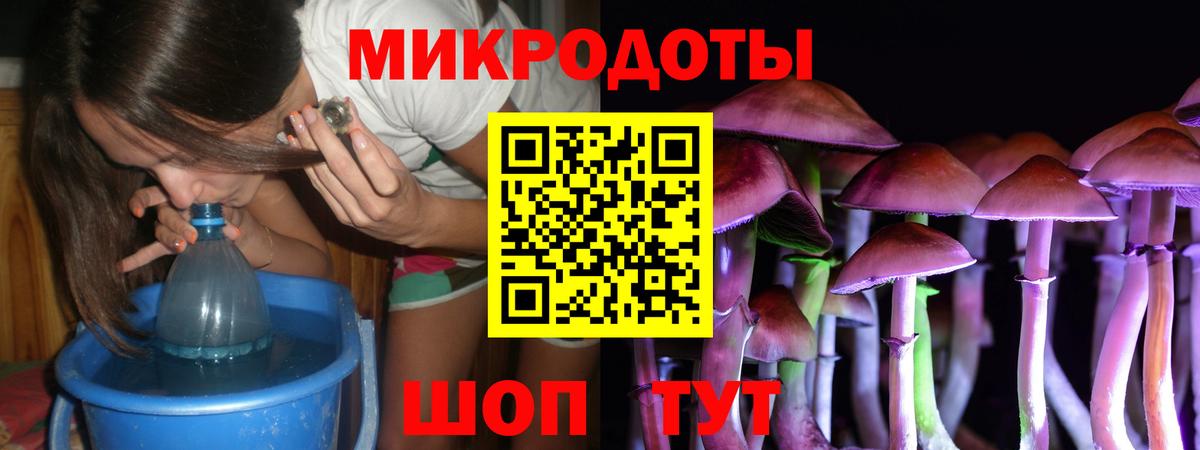 Псилоцибиновые грибы Psilocybine cubensis Омск