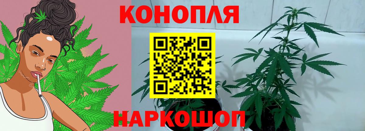 Канабис сатива  Вход с VPN  Каннабис VHQ  Каннабис THC 21%  Конопля AK-47  Омск 